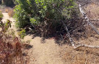 Topping Trailside